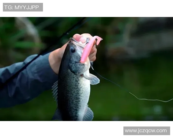 渔具选择与使用技巧全面解析，助你成为钓鱼高手的必备指南